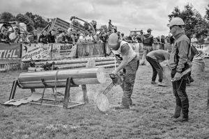 Diploma, Natančen rez, Žarko Petrovič